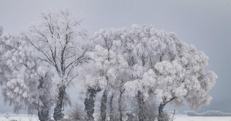 Változás várható az időjárásban, ezt prognosztizálják a meteorológiai szakértők.