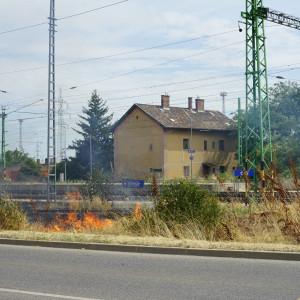 Tűz keletkezett az óbudai vasútállomáson, miután egy lángoló madár repült a környékre.