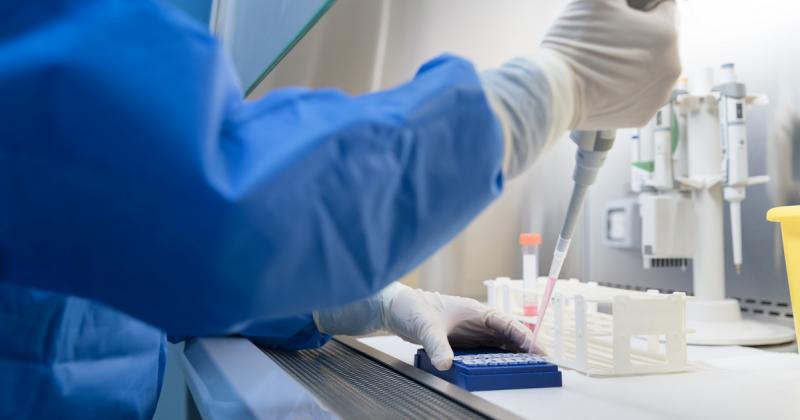 Egy különleges vírusfertőzés, amely idegrendszeri tüneteket váltott ki, került felfedezésre hazánkban, ezért védőkörzetet állítottak fel a terjedés megakadályozására.