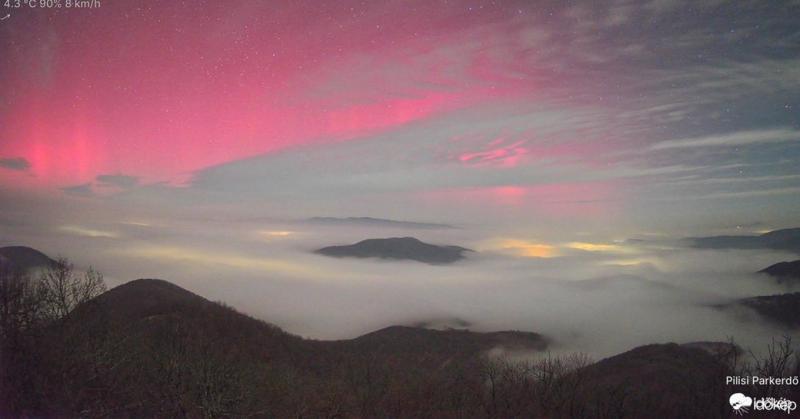 Geomágneses vihar: Te is figyelemmel kíséred a haszonállataid viselkedését?